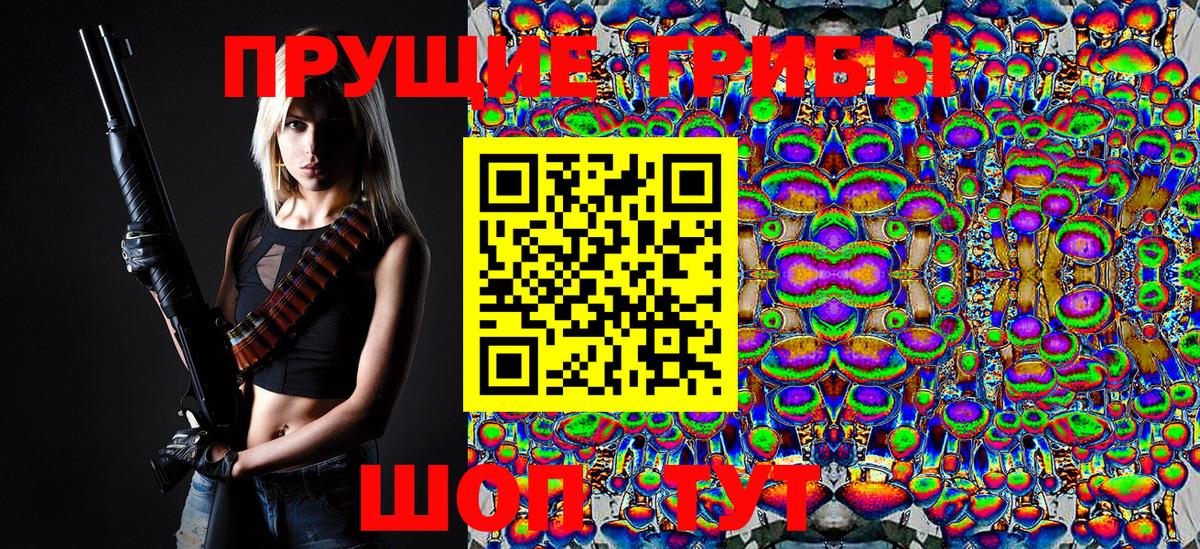 Волгодонск  Галлюциногенные грибы Psilocybe  Вход с VPN  Псилоцибиновые грибы мухоморы 